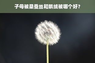 子母被桑蚕丝和鹅绒被哪个好？