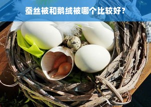 蚕丝被和鹅绒被哪个比较好？