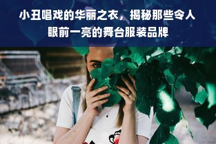 小丑唱戏的华丽之衣，揭秘那些令人眼前一亮的舞台服装品牌