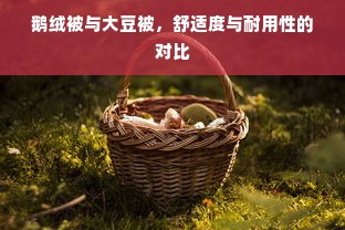 鹅绒被与大豆被，舒适度与耐用性的对比