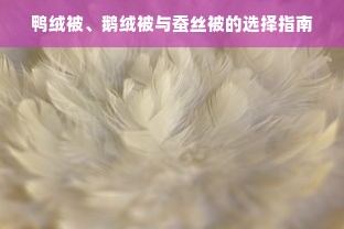 鸭绒被、鹅绒被与蚕丝被的选择指南