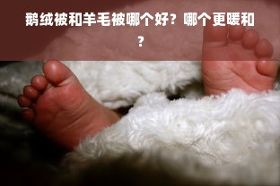 鹅绒被和羊毛被哪个好？哪个更暖和？