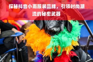 探秘抖音小雨服装品牌，引领时尚潮流的秘密武器