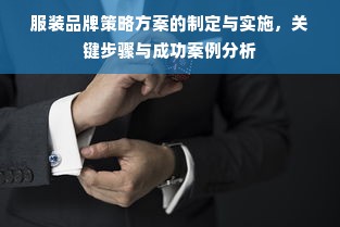 服装品牌策略方案的制定与实施，关键步骤与成功案例分析