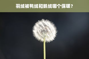 羽绒被鸭绒和鹅绒哪个保暖？