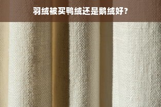 羽绒被买鸭绒还是鹅绒好？