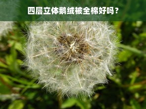 四层立体鹅绒被全棉好吗？