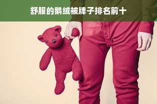 舒服的鹅绒被牌子排名前十