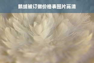 鹅绒被订做价格表图片高清