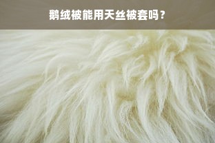 鹅绒被能用天丝被套吗？