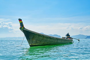 探索海洋之魂，帆船风格的服装品牌之旅