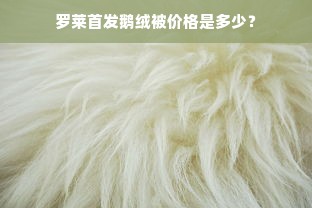 罗莱首发鹅绒被价格是多少？