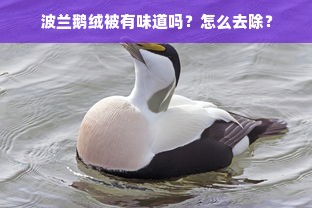 波兰鹅绒被有味道吗？怎么去除？