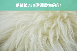 鹅绒被750蓬保暖性好吗？