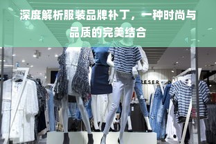 深度解析服装品牌补丁，一种时尚与品质的完美结合