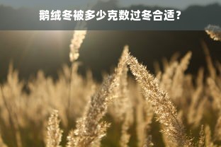 鹅绒冬被多少克数过冬合适？