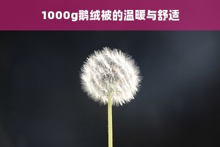 1000g鹅绒被的温暖与舒适