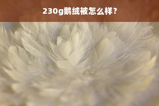 230g鹅绒被怎么样？