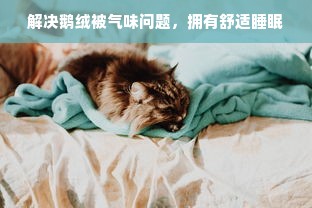 解决鹅绒被气味问题，拥有舒适睡眠