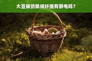 大豆被仿鹅绒纤维有静电吗？