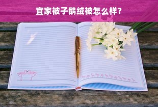 宜家被子鹅绒被怎么样？