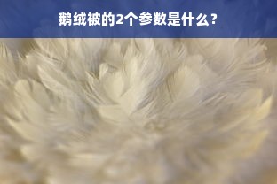 鹅绒被的2个参数是什么？