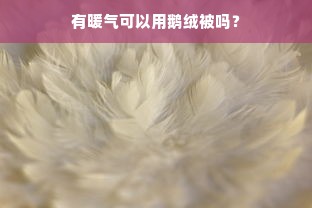 有暖气可以用鹅绒被吗？