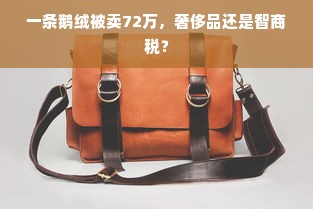 一条鹅绒被卖72万，奢侈品还是智商税？