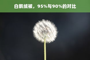 白鹅绒被，95%与90%的对比