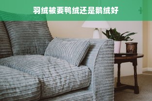 羽绒被要鸭绒还是鹅绒好