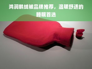 鸿润鹅绒被品牌推荐，温暖舒适的睡眠首选