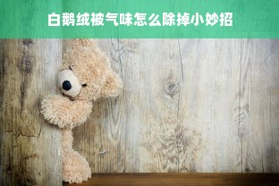 白鹅绒被气味怎么除掉小妙招