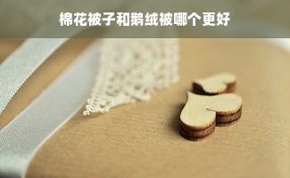 棉花被子和鹅绒被哪个更好