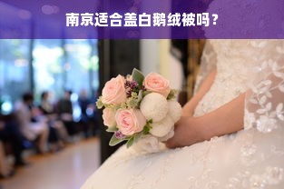 南京适合盖白鹅绒被吗？