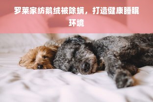 罗莱家纺鹅绒被除螨，打造健康睡眠环境