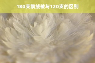 180支鹅绒被与120支的区别