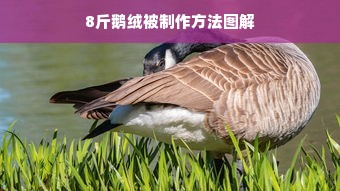 8斤鹅绒被制作方法图解