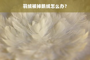 羽绒被掉鹅绒怎么办？