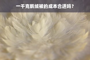 一千克鹅绒被的成本合适吗？