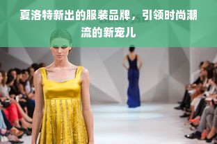 夏洛特新出的服装品牌，引领时尚潮流的新宠儿