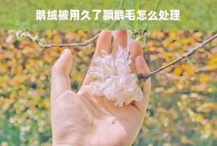 鹅绒被用久了飘鹅毛怎么处理