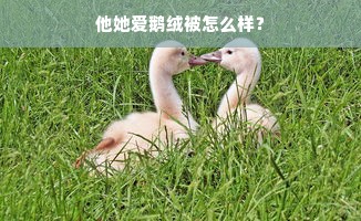 他她爱鹅绒被怎么样？