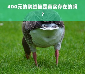 400元的鹅绒被是真实存在的吗？