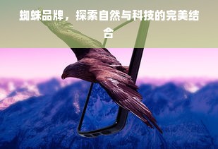 蜘蛛品牌，探索自然与科技的完美结合