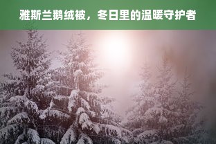 雅斯兰鹅绒被，冬日里的温暖守护者