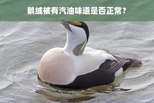 鹅绒被有汽油味道是否正常？