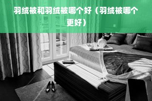 羽绒被和羽绒被哪个好（羽绒被哪个更好）