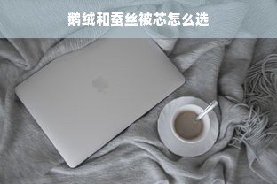 鹅绒和蚕丝被芯怎么选