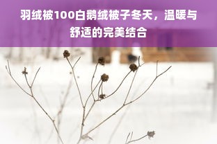 羽绒被100白鹅绒被子冬天，温暖与舒适的完美结合