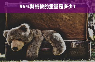 95%鹅绒被的重量是多少？